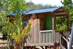 carrick hill 2014 (6)